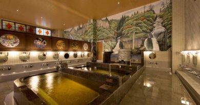 An interior shot of the excellent Hasunuma Tattoo Friendly Onsen