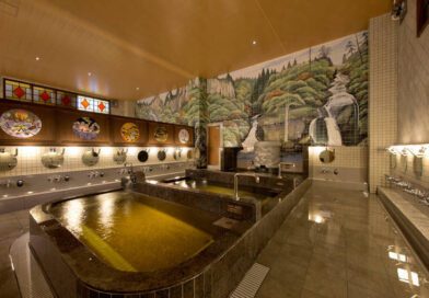 An interior shot of the excellent Hasunuma Tattoo Friendly Onsen