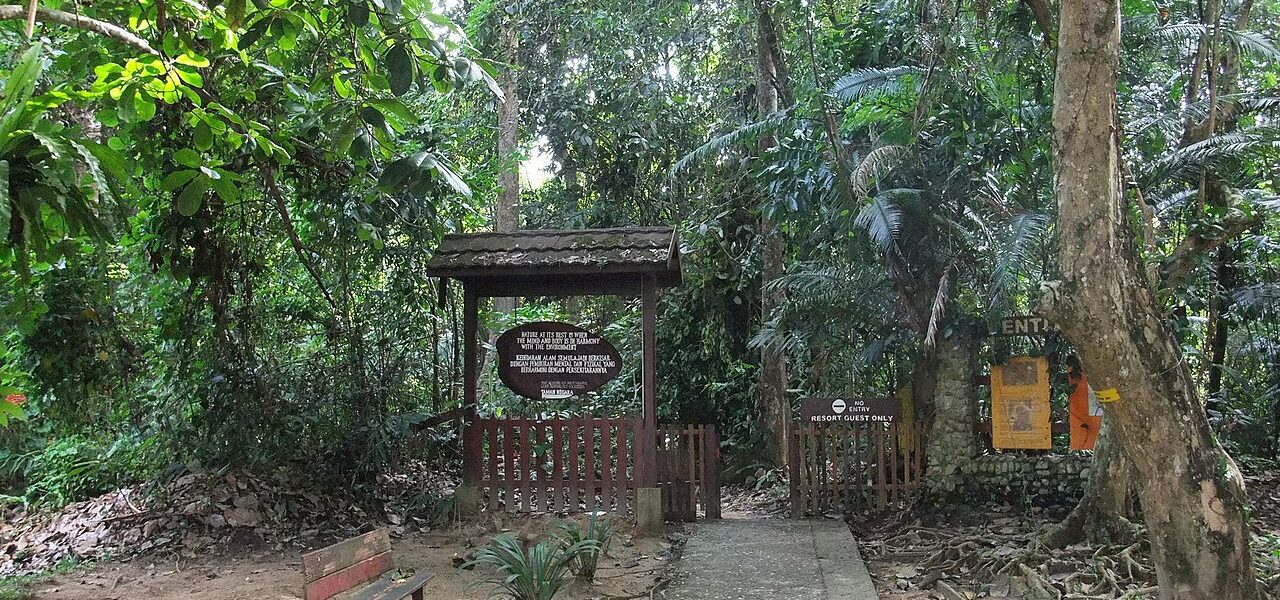 Entrance into the Taman Negara National Park in Malaysia