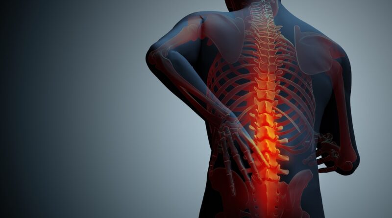 compressed spine is the leading cause of back pain while traveling