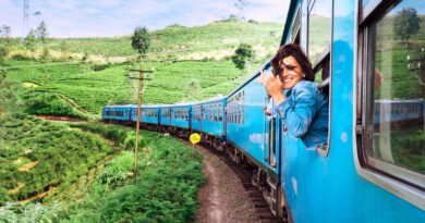 A woman is relaxed on a train thanks to natural supplements