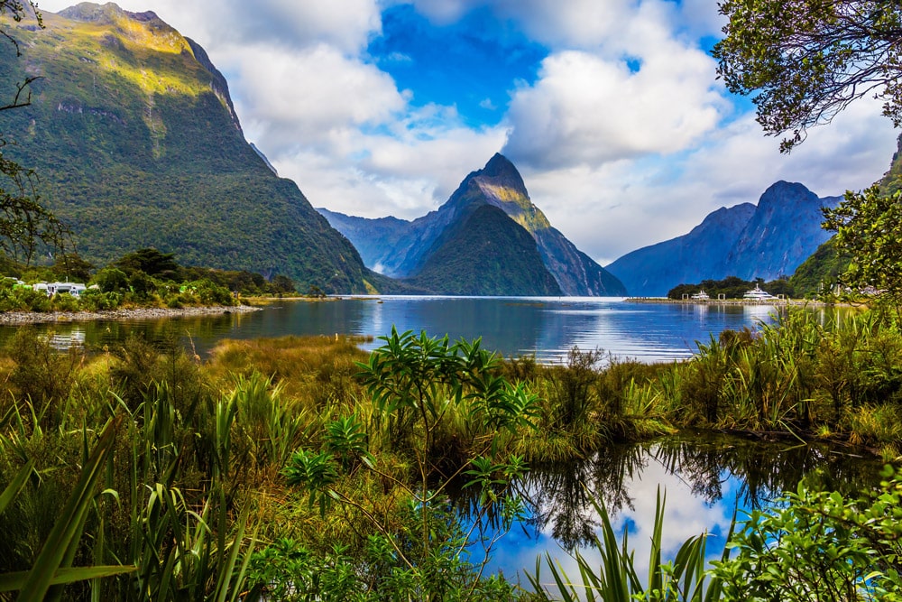 Fjord's of New Zealand is a great spot for travelers with chronic pain