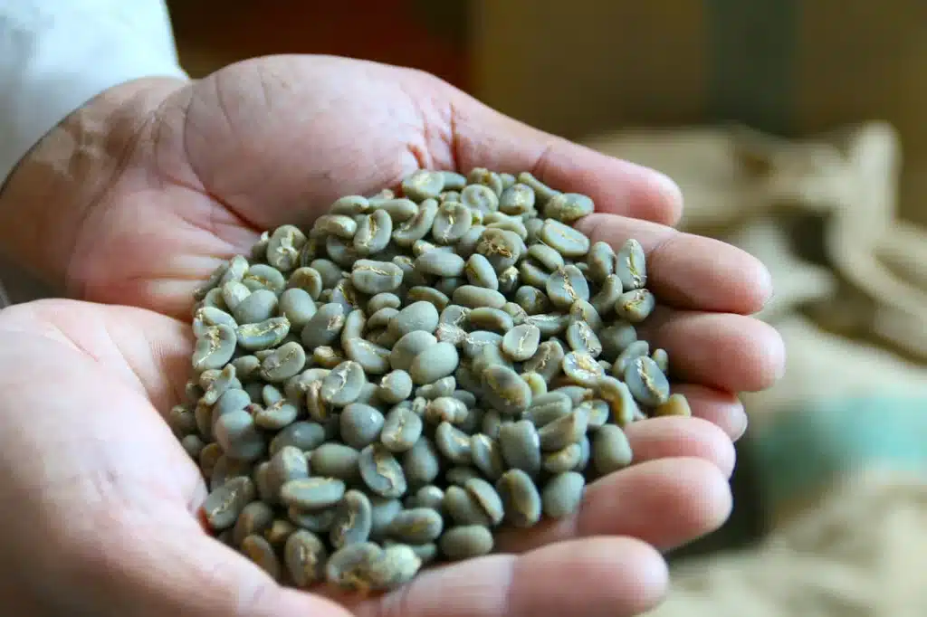 Giling Basah is the most common arabica coffee found in Jakarta