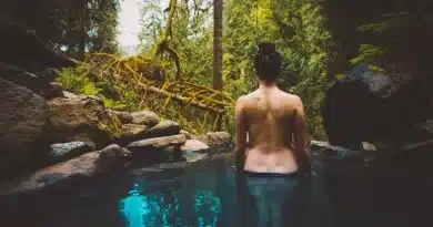 Cougar Terwilliger Hot Springs in Oregon